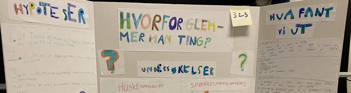 Eksempel Hvorfor Det-plakat